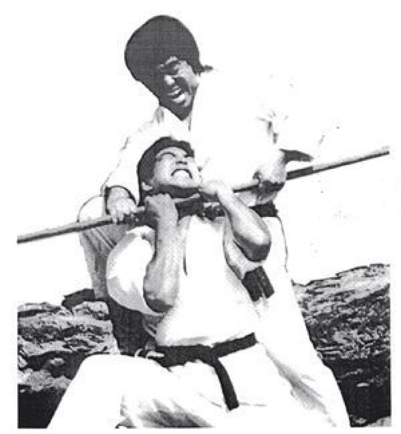 Shihan Demura Bo Shihan Demura Bo